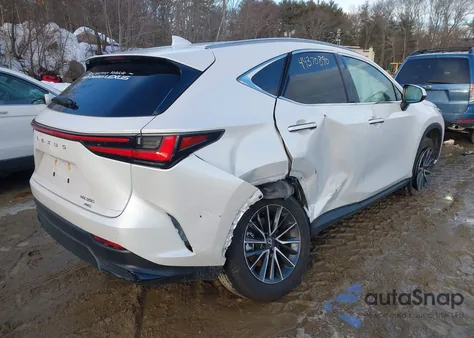 2025 Lexus Nx 350 Premium z USA, uszkodzony, nr VIN 2T2GGCEZ7SC077861